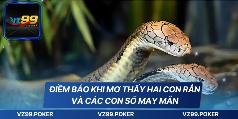Điềm Báo Khi Mơ Thấy Hai Con Rắn Và Các Con Số May Mắn 1 Điềm Báo Khi Mơ Thấy Hai Con Rắn Và Các Con Số May Mắn