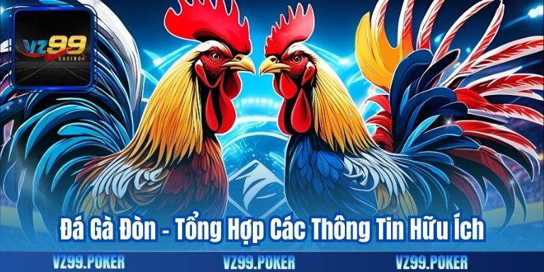Đá Gà Đòn – Tổng Hợp Các Thông Tin Hữu Ích 1 Đá Gà Đòn – Tổng Hợp Các Thông Tin Hữu Ích