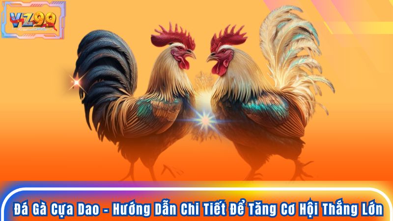 Đá Gà Cựa Dao - Hướng Dẫn Chi Tiết Để Tăng Cơ Hội Thắng Lớn 6 Đá Gà Cựa Dao - Hướng Dẫn Chi Tiết Để Tăng Cơ Hội Thắng Lớn