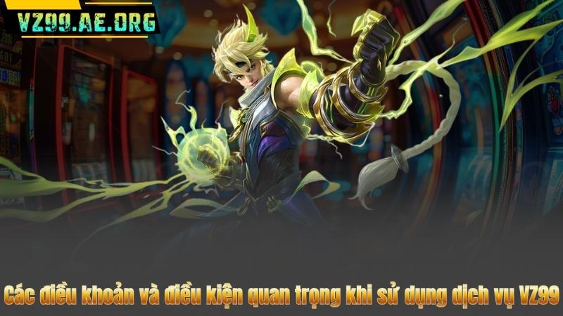 Các điều khoản và điều kiện quan trọng khi sử dụng dịch vụ VZ99