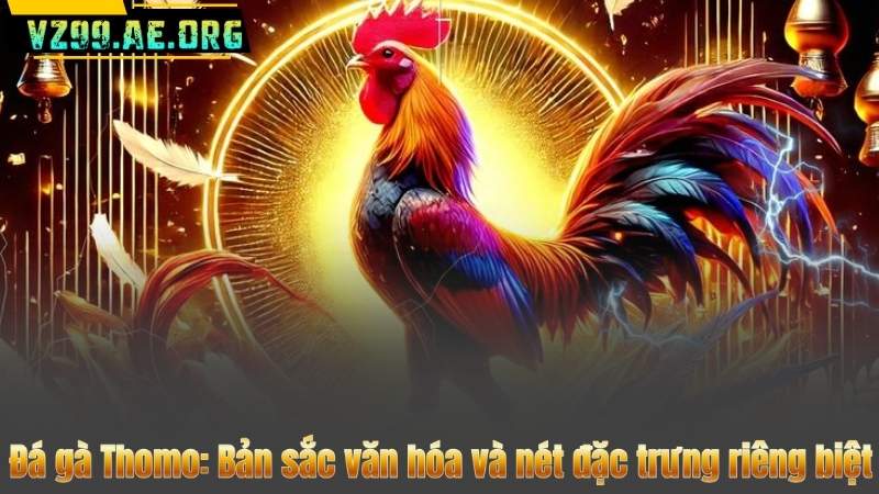 Đá gà Thomo – Kho tổng hợp trò chơi chiến kê online hấp dẫn nhất 6 Đá gà Thomo: Bản sắc văn hóa và nét đặc trưng riêng biệt