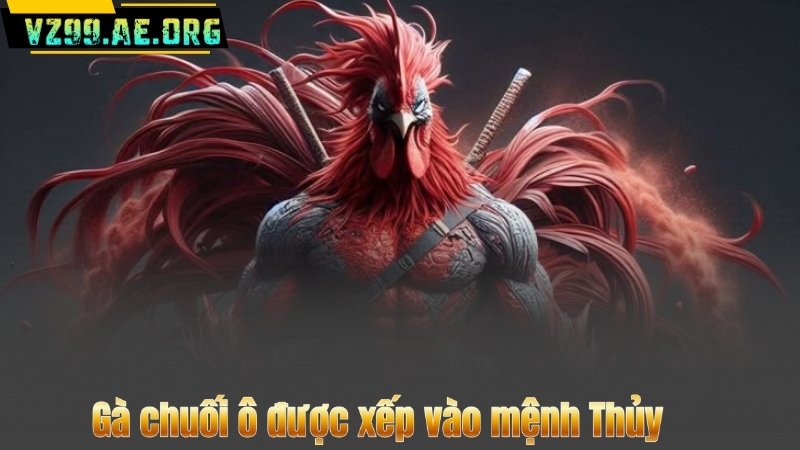 Gà Chuối – Bí Quyết Nhận Diện Và Chọn Lựa Chiến Kê Xuất Sắc 7 Gà chuối ô được xếp vào mệnh Thủy