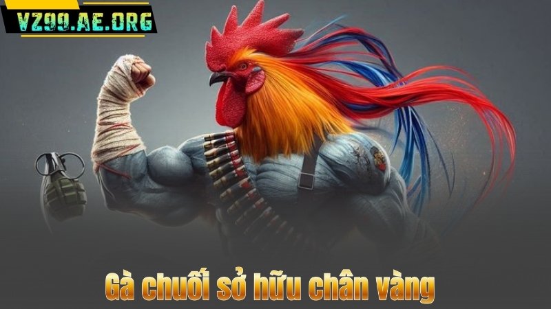 Gà Chuối – Bí Quyết Nhận Diện Và Chọn Lựa Chiến Kê Xuất Sắc 8 Gà chuối sở hữu chân vàng