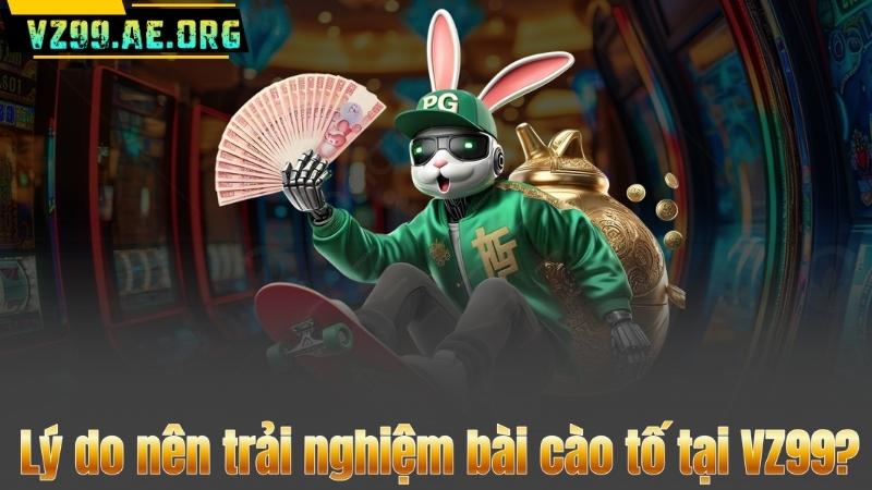 ly-do-nen-trai-nghiem-bai-cao-to-tai-vz99