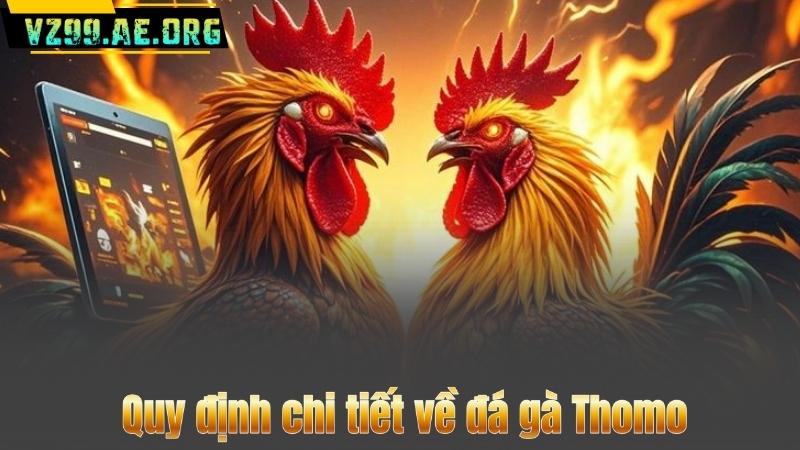 Đá gà Thomo – Kho tổng hợp trò chơi chiến kê online hấp dẫn nhất 7 Quy định chi tiết về đá gà Thomo