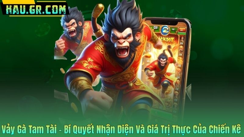 Vảy Gà Tam Tài - Bí Quyết Nhận Diện Và Giá Trị Thực Của Chiến Kê 1 Vảy Gà Tam Tài - Bí Quyết Nhận Diện Và Giá Trị Thực Của Chiến Kê